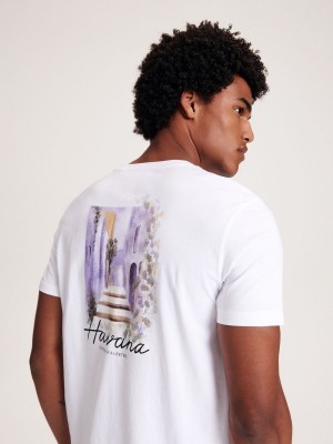 Reserved Regular fit T-shirt with print Biele | 17520MEFP