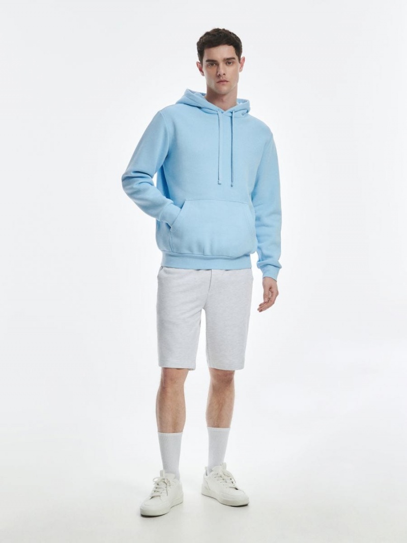 Reserved Regular shorts Svetlo Siva | 31450PMUF